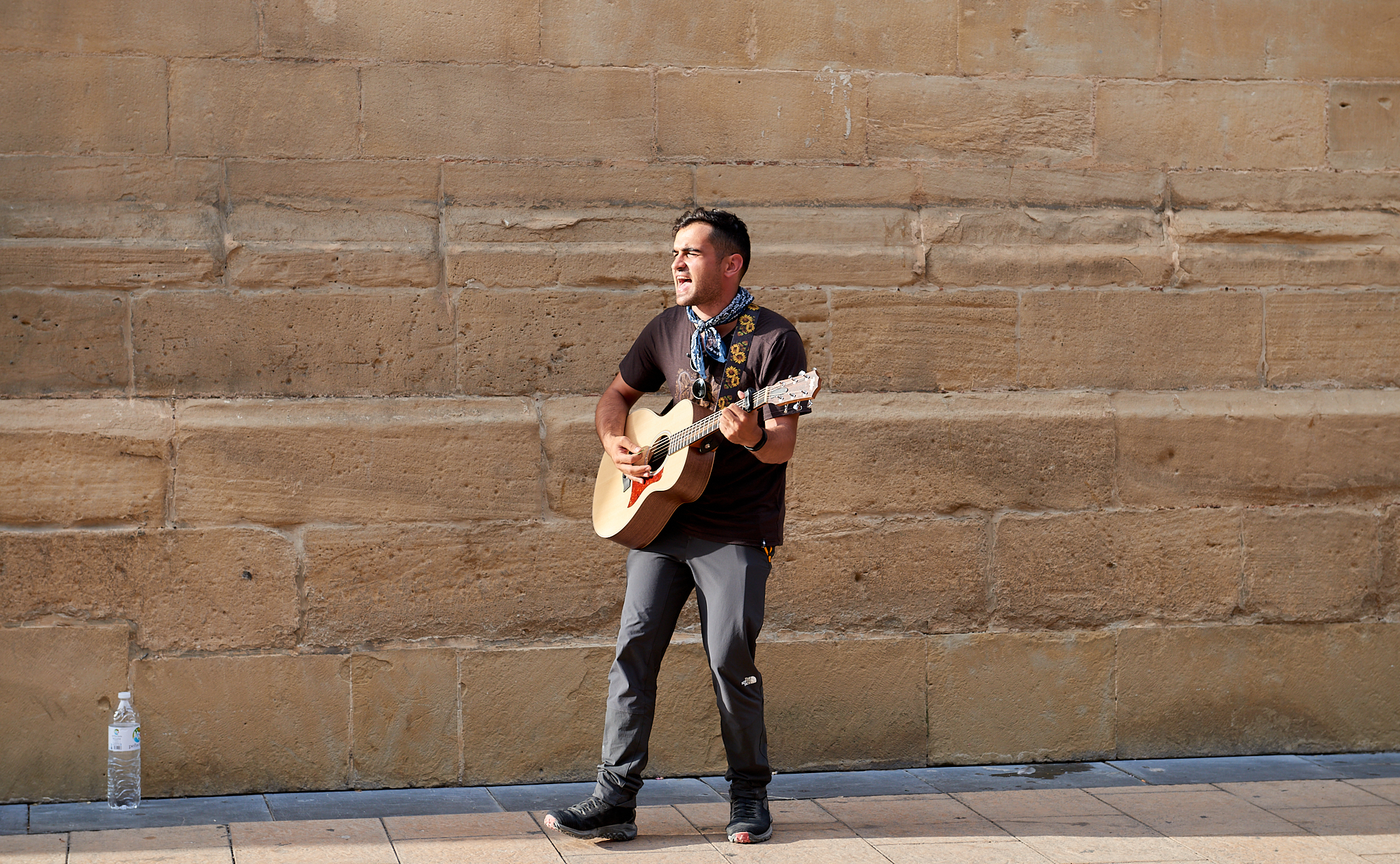 20190806 525 Spain 로그로뇨 산타 마리아 데 라 레돈다 대성당